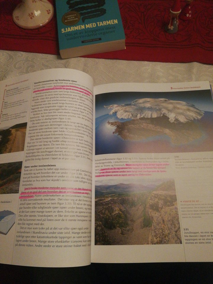 Hvordan skrive gode markeringer i fagbøker?