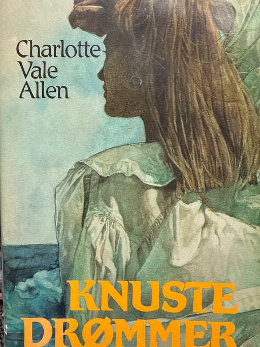 Knuste drømmer - Bokia.no