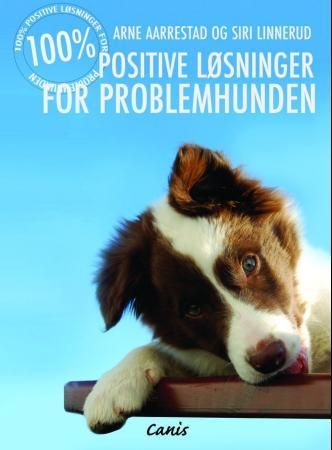 100% positiv problemløsning 9788292189580 Arne Aarrestad Siri Linnerud Brukte bøker