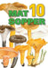 10 matsopper 9788281734081  Brukte bøker