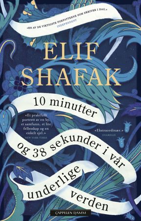 10 minutter og 38 sekunder i vår underlige verden 9788202659103 Elif Shafak Brukte bøker