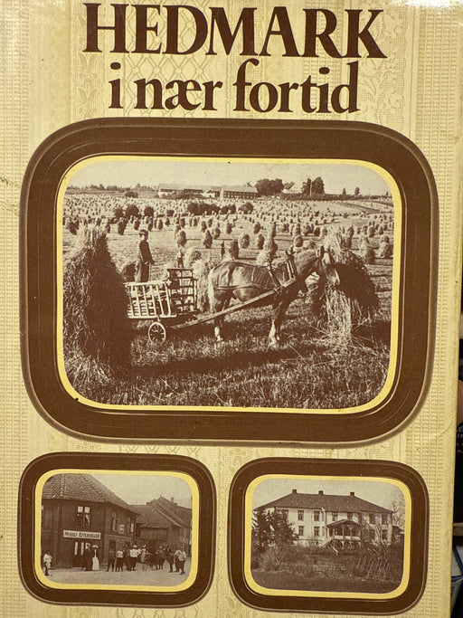 Hedmark i nær fortid (Innbundet) - Bokia.no