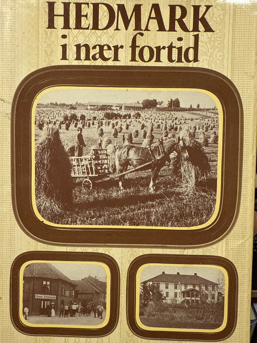 Hedmark i nær fortid (Innbundet) - Bokia.no
