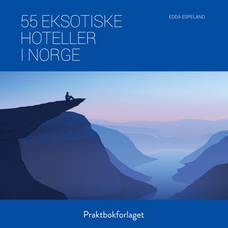 55 eksotiske hoteller i Norge 9788293369134 Edda Espeland Brukte bøker
