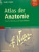 Atlas Der Anatomie (Innbundet) - Bokia.no