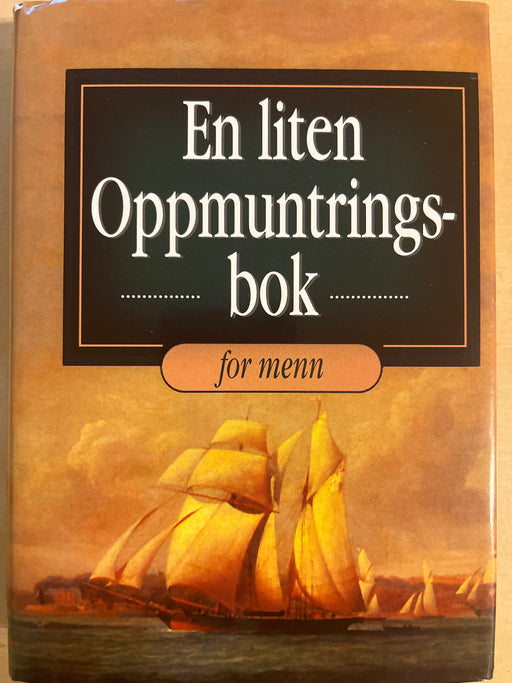 En liten oppmuntringsbok for menn (Innbundet) - Bokia.no