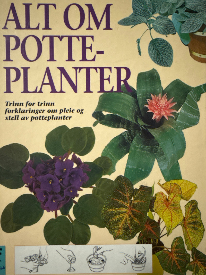 Alt om potteplanter (Innbundet) - Bokia.no