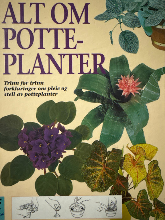Alt om potteplanter (Innbundet) - Bokia.no