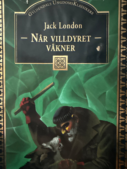 Når villdyret våkner (Innbundet) - Bokia.no