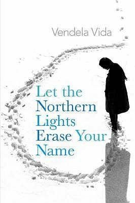 Let the Northern Lights Erase Your Name - Bokia.no