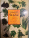 Gyldendals lille urtebok med oppskrifter (Innbundet) - Bokia.no