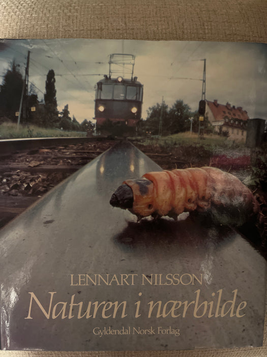 Naturen i nærbilde: en oppdagelsesferd i naturens mikrokosmos (Innbundet) - Bokia.no