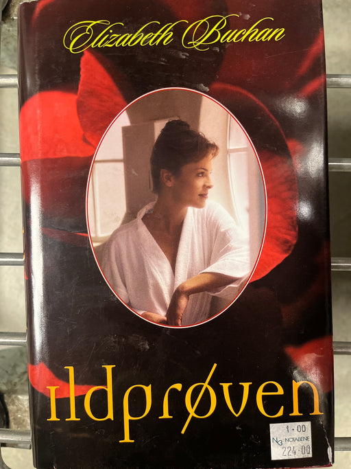 Ildprøven (Innbundet) - Bokia.no