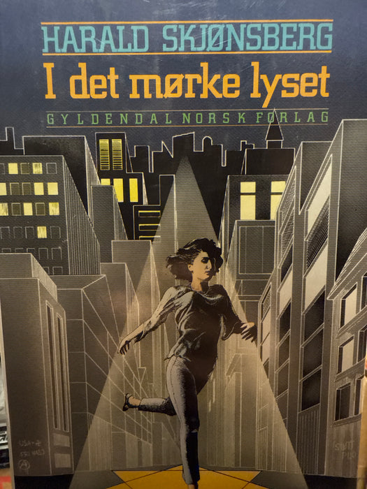 I det mørke lyset (Innbundet) - Bokia.no