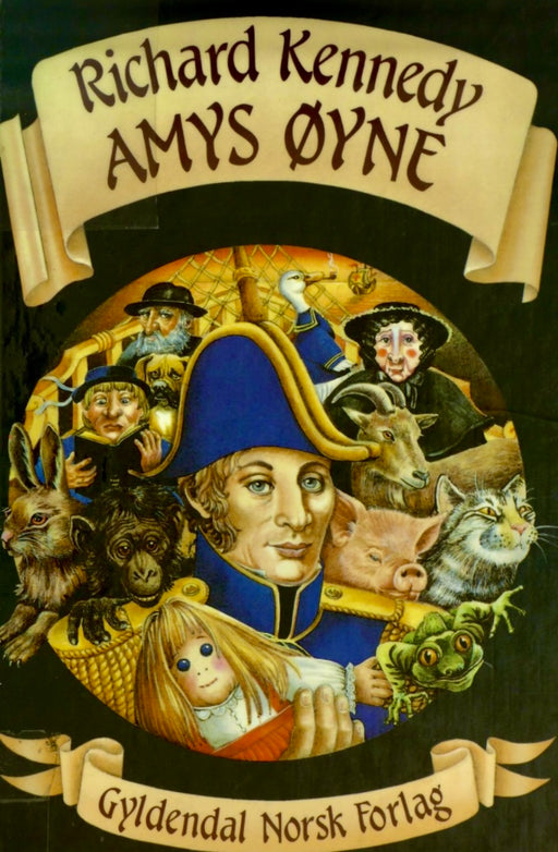 Amys øyne (Innbundet) - Bokia.no