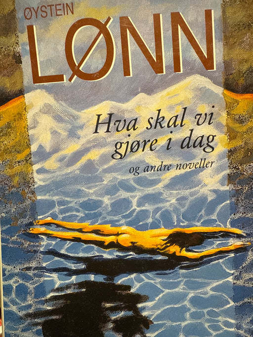 Hva skal vi gjøre i dag? (Innbundet) - Bokia.no