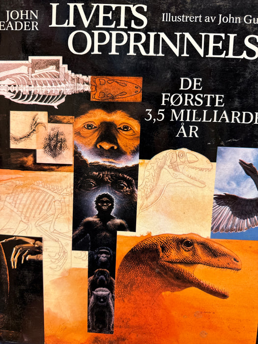 Livets opprinnelse (Innbundet) - Bokia.no