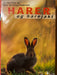 Harer og harejakt (Innbundet) - Bokia.no