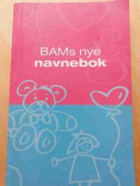 BAMs nye navnenok 9788252562699  Brukte bøker