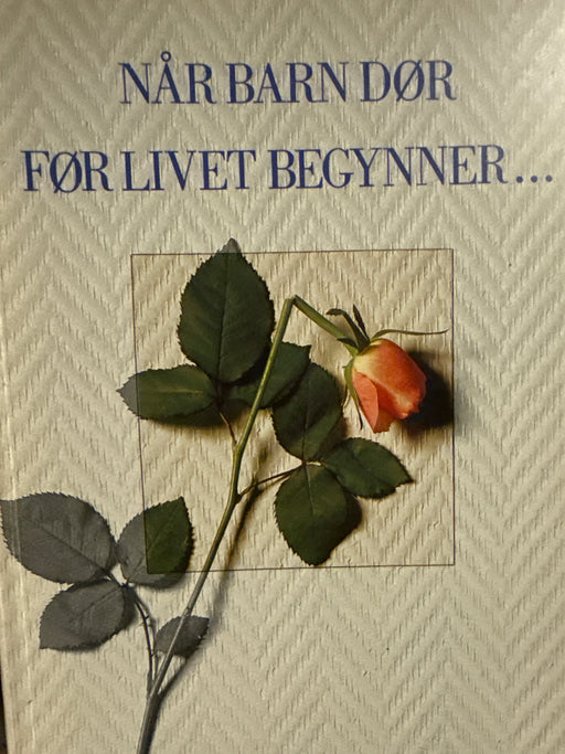 Når barn dør før livet begynner (Pocket) - Bokia.no