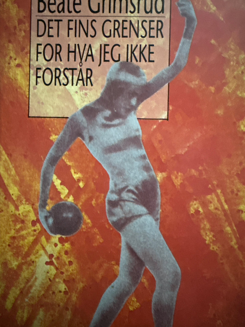 Det fins grenser for hva jeg ikke forstår (Innbundet) - Bokia.no