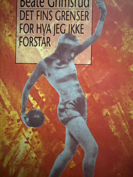 Det fins grenser for hva jeg ikke forstår (Innbundet) - Bokia.no