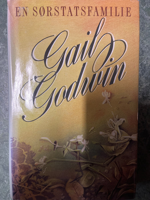 En sørstatsfamilie (Innbundet) - Bokia.no