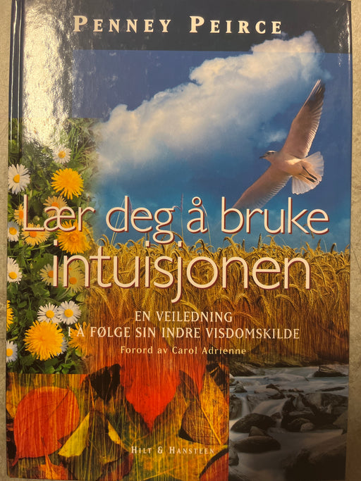 Lær deg å bruke intuisjonen : en veiledning i å følge sin indre visdomskilde - Bokia.no