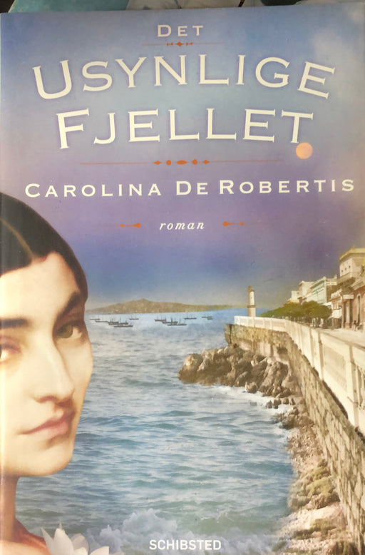 Det usynlige fjellet 9788252576689  Brukte bøker