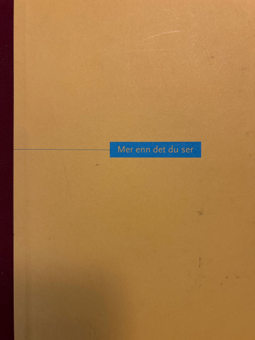 Mer enn det du ser - Bokia.no