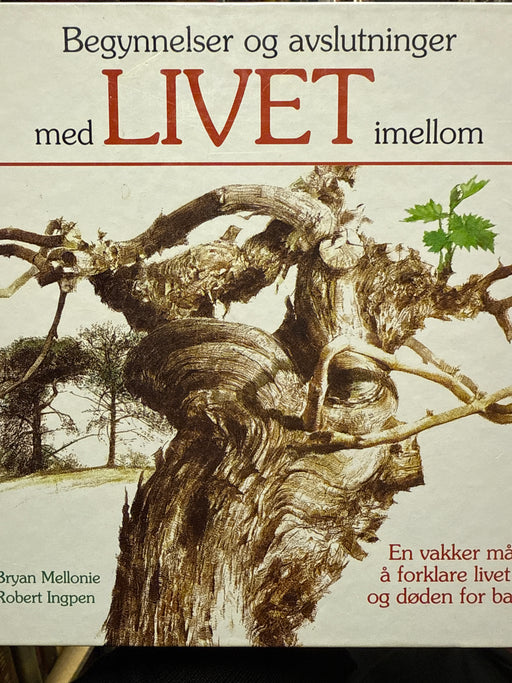 Begynnelser og avslutninger med livet imellom (Innbundet) - Bokia.no