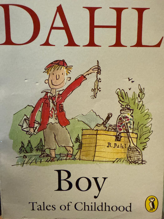 Boy (Pocket) - Bokia.no