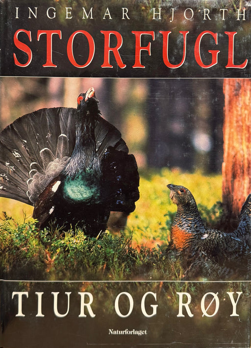 Storfugl Tiur og Røy