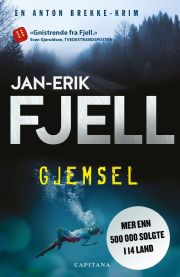 Gjemsel 9788293671954  Brukte bøker