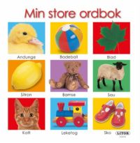 Min store ordbok 7031650283966  Brukte bøker