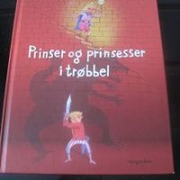 Prinser og prinsesser 9788252573770  Brukte bøker