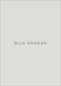 Til en ukjent gud 9788253020693  Brukte bøker