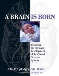 A Brain Is Born 9781583943014 John E. Upledger Brukte bøker