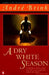 A Dry White Season 9780140068900 André Philippus Brink Brukte bøker