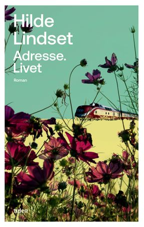 Adresse. Livet 9788210058356 Hilde Lindset Brukte bøker