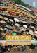 Africa: Diversity and Development 9780415413688 Alan Dixon Etienne Nel Tony Binns Brukte bøker