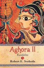 Aghora2 (Kundalini) 9788171673438 Robert E. Svoboda Brukte bøker