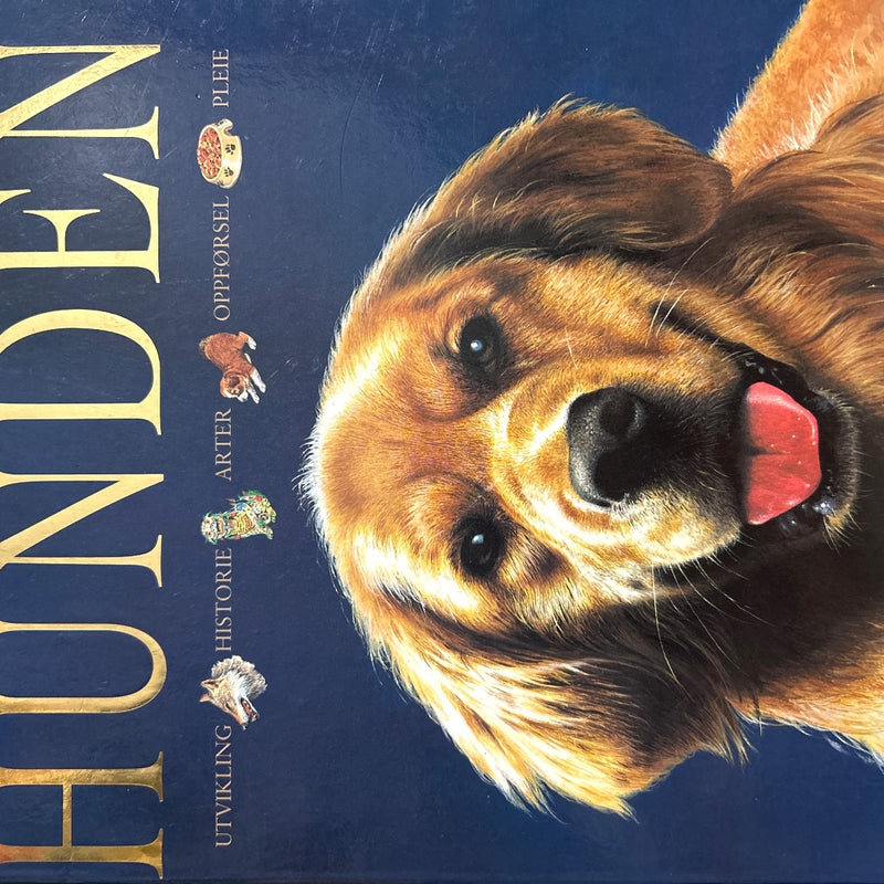 Alt om hunden 9788250941632 Amanda O'Neill Brukte bøker
