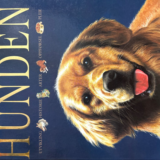 Alt om hunden 9788250941632 Amanda O'Neill Brukte bøker