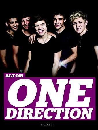 Alt om One Direction 9788205432062 Stine Bødker Nielsen Brukte bøker