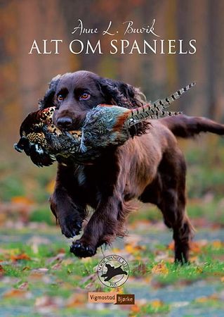 Alt om spaniels 9788241912641 Anne L. Buvik Brukte bøker