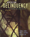 American Delinquency 9780534507077 LaMar Taylor Empey Mark C. Stafford Carter H. Hay Brukte bøker