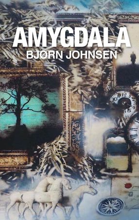 Amygdala 9788299698160 Bjørn Johnsen Brukte bøker