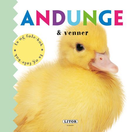 Andunge & venner 9788242958174 Ellie Boultwood Amy Oliver Hannah Cockayne Brukte bøker