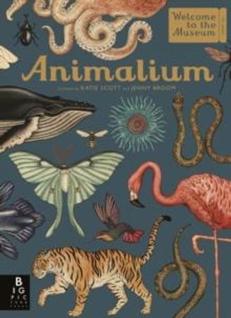 Animalium 9781787411647 Katie Scott Jenny Broom Brukte bøker